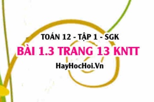 Bài 1.3 trang 13 Toán 12 tập 1 Kết nối tri thức